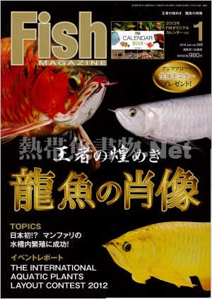 フィッシュマガジン No.549 2013年01月号