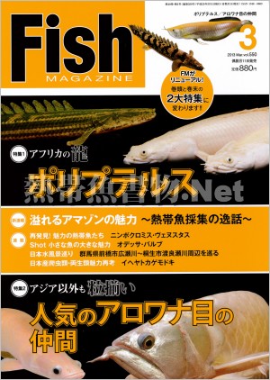 フィッシュマガジン No.550 2013年03月号