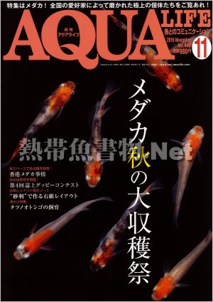 アクアライフ No.448 2016年11月号