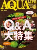 アクアライフ No.388 2011年11月号