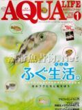 アクアライフ No.390 2012年01月号