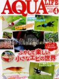 アクアライフ No.393 2012年04月号