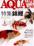 アクアライフ No.400 2012年11月号