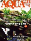 アクアライフ No.458 2017年09月号