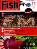フィッシュマガジン No.554 2013年11月号