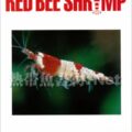 ビーシュリンプ専門情報誌 RED BEE SHRIMP Vol.03