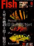 フィッシュマガジン No.531 2010年06月号