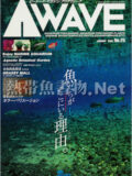 [ピーシーズ] アクアウェーブ No.025 2003年01月号