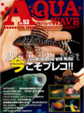 [ピーシーズ] アクアウェーブ No.053 2008年06月号
