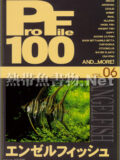 [ピーシーズ] プロファイル100 VOL.06 エンゼルフィッシュ