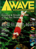 [ピーシーズ] アクアウェーブ No.041 2006年03月号