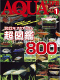月刊アクアライフ 2022年01月号