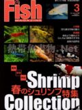 フィッシュマガジン No.538 2011年03月号
