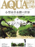 アクアライフ No.511 2022年02月号