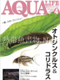 アクアライフ No.513 2022年04月号