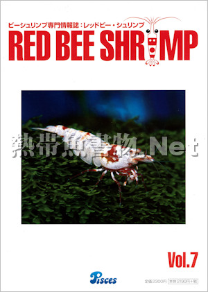 [ピーシーズ] ビーシュリンプ専門情報誌 RED BEE SHRIMP Vol.07