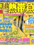 [白夜書房] 楽しい熱帯魚 No.119 2004年12月号