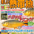 [白夜書房] 楽しい熱帯魚 No.106 2003年11月号