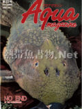 [フェアウインド] アクアマガジン 第22号 1994年06月号