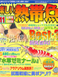 [白夜書房] 楽しい熱帯魚 No.118 2004年11月号