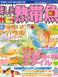 [白夜書房] 楽しい熱帯魚 No.142 2006年11月号