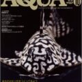 アクアライフ No.447 2016年10月号